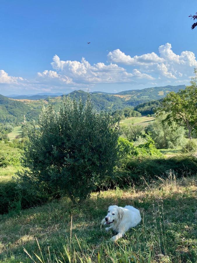 Case Crovina Salsomaggiore Terme Buitenkant foto