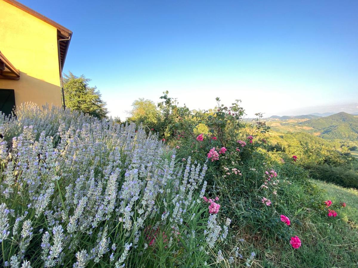 Case Crovina Salsomaggiore Terme Buitenkant foto